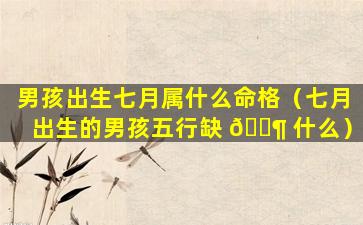 男孩出生七月属什么命格（七月出生的男孩五行缺 🐶 什么）